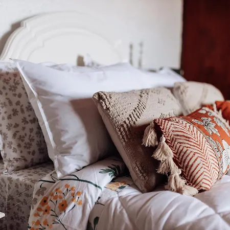 Quinta Da Avo Bella 別荘 *